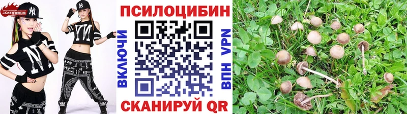 блэк спрут маркетплейс  Свирск  Псилоцибиновые грибы Cubensis 